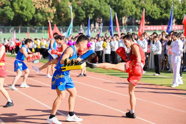 安賽龍便是
