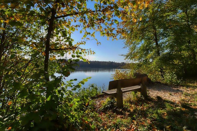 维和伊涅斯 维和伊涅斯