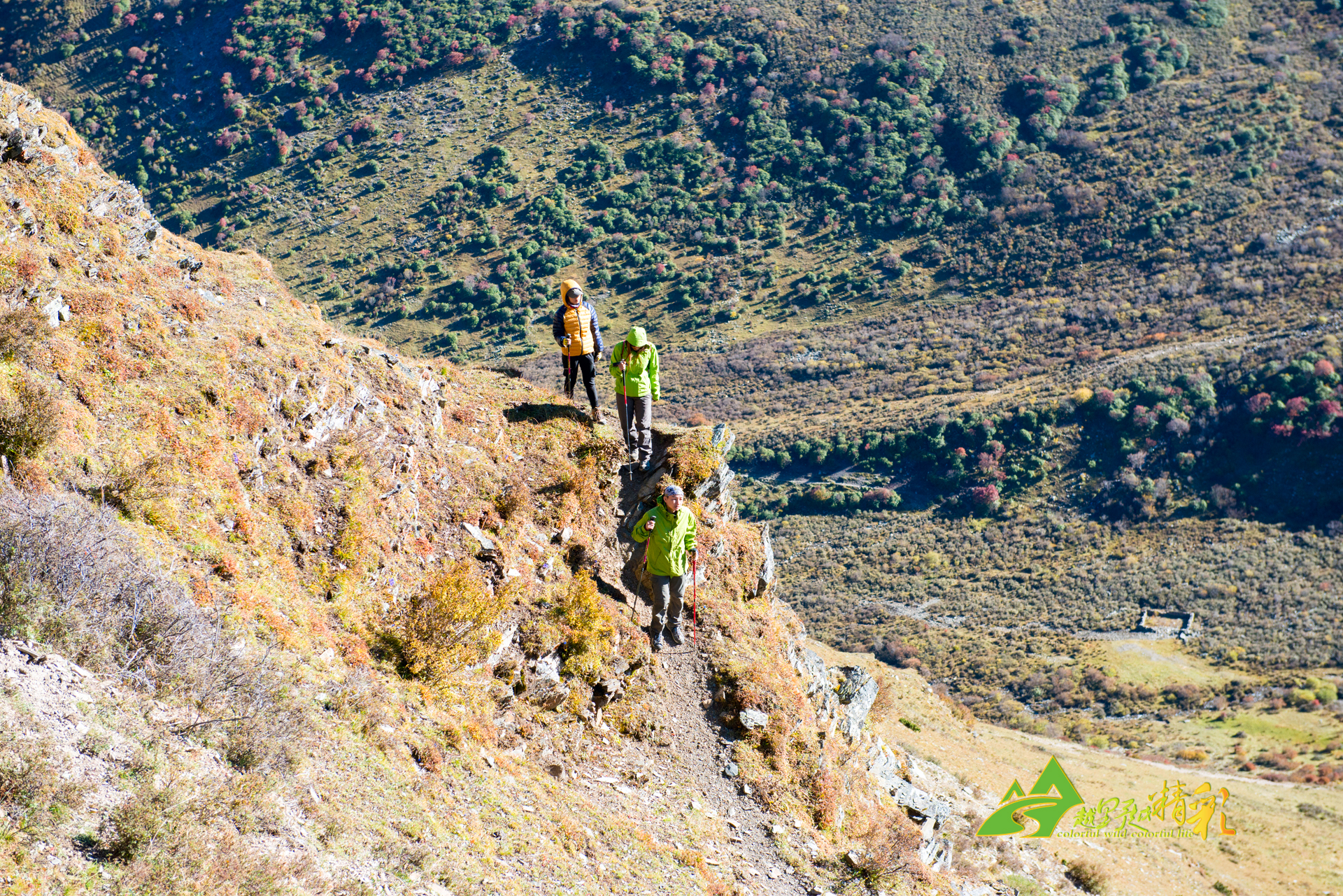 映教育改革 映教育改革